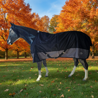 ROYAL CLEARANCE - GOLIATH STORM 1200D TURNOUT - 50G BLACK/GREY