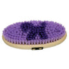 Body Brush with Horse Decal Bristles