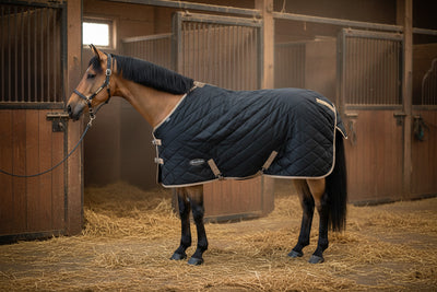 Country Legend 420D Nylon Quilted Stable Sheet