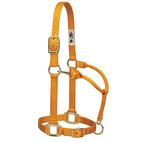 WEAVER ADJUSTABLE NYLON HALTER -  SMALL HORSE