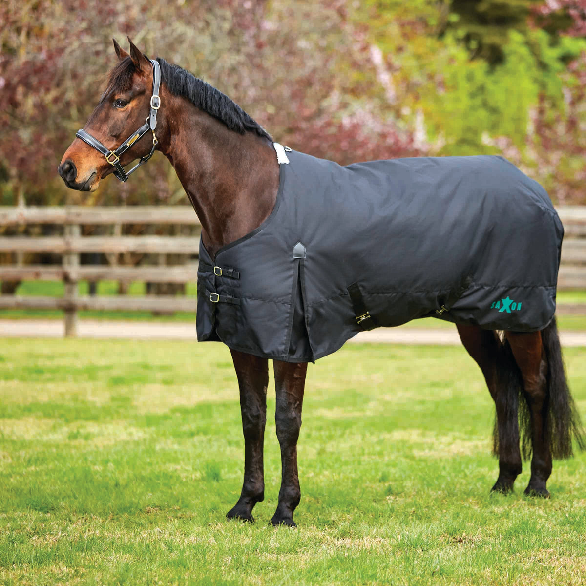 WEATHERBEETA SAXON 1200D STANDAND NECK HEAVY(300G) TURNOUT - BLACK/BLACK (Clearance)