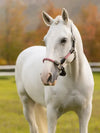 LEMIEUX ROPELLA HEADCOLLAR