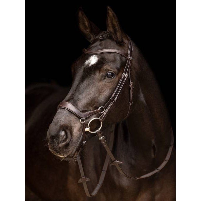 LEMIEUX ARIKA DROP BRIDLE