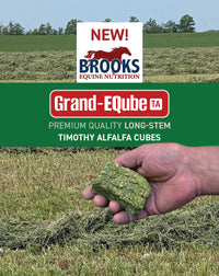 BROOKS GRAND-EQUBE AT HAYCUBE (55)
