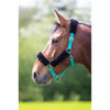 SHIRES FLEECE LINED HALTER