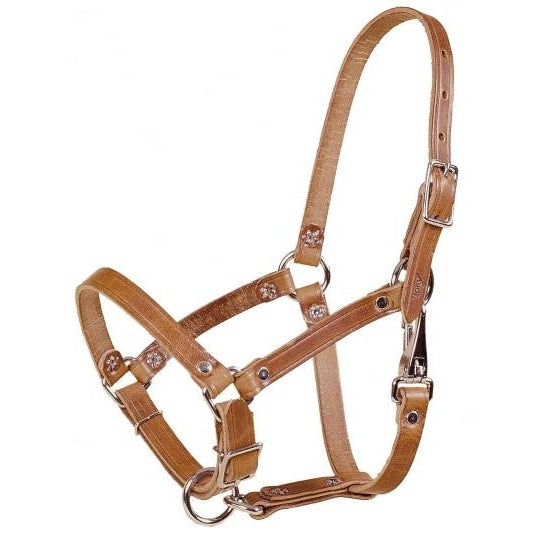 TORY LEATHER RIVETED FOAL HALTER - HARNESS LEATHER