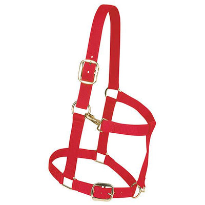 PORTE-COURANT RÉGLABLE EN NYLON WEAVER - TAILLE MOYENNE