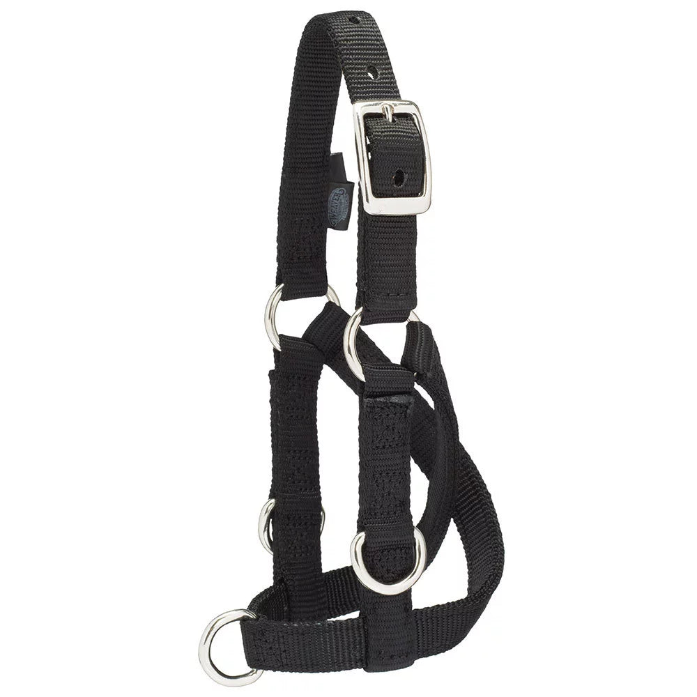 WEAVER LEATHER SHEET/GOAT TRAINING HALTER - BLACK