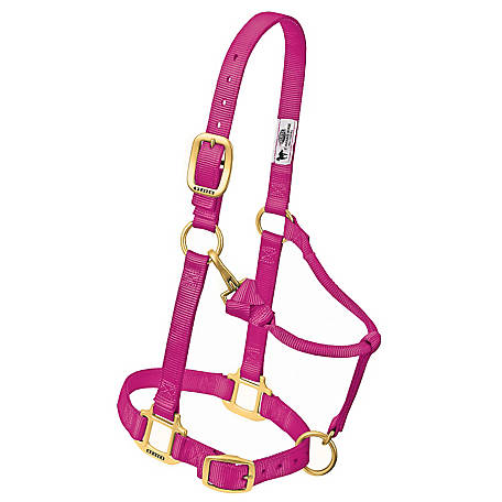 WEAVER ADJUSTABLE NYLON HALTER - AVERAGE HORSE