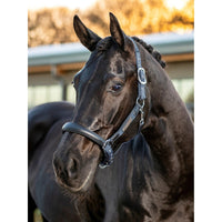 LEMIEUX CAPELLA HEADCOLLAR