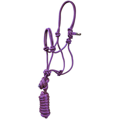 MUSTANG PONY/MINI ROPE HALTER WITH LEAD