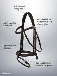 LEMIEUX ARIKA FLASH BRIDLE