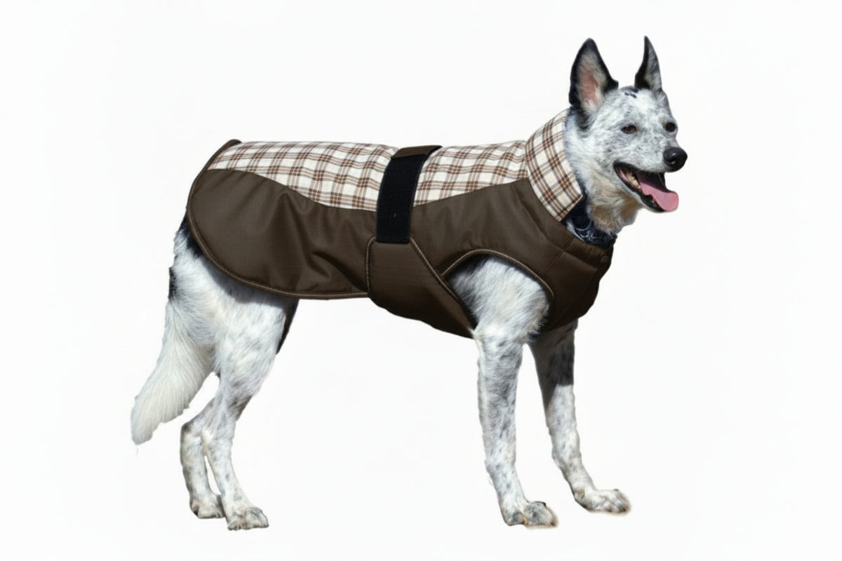 CENTURY TIGER DELUXE PLAID DOG COAT - BROWN PLAID