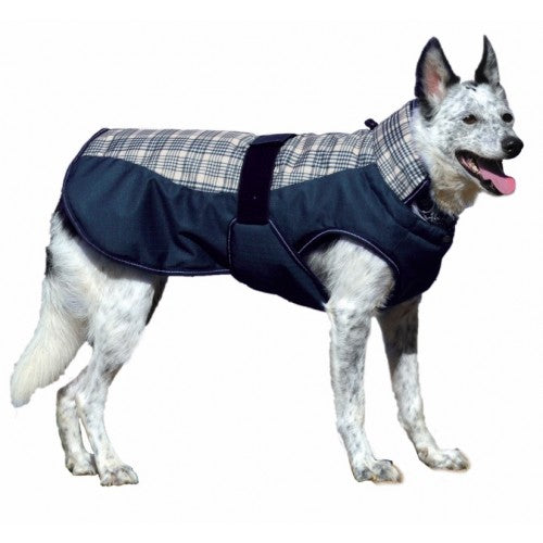 CENTURY TIGER DELUXE PLAID DOG COAT - BLUE PLAID