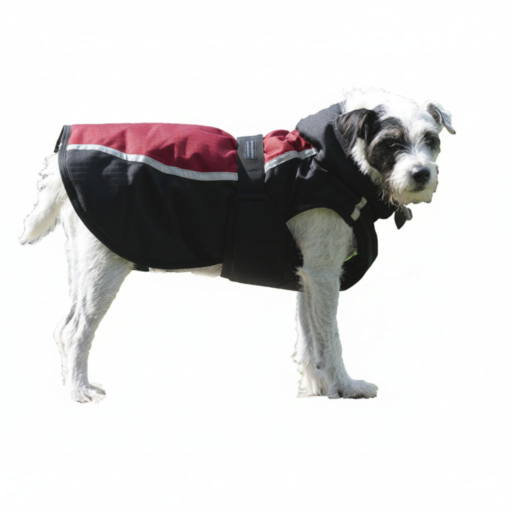 CENTURY TIGER DELUXE DOG COAT - RED/BLACK