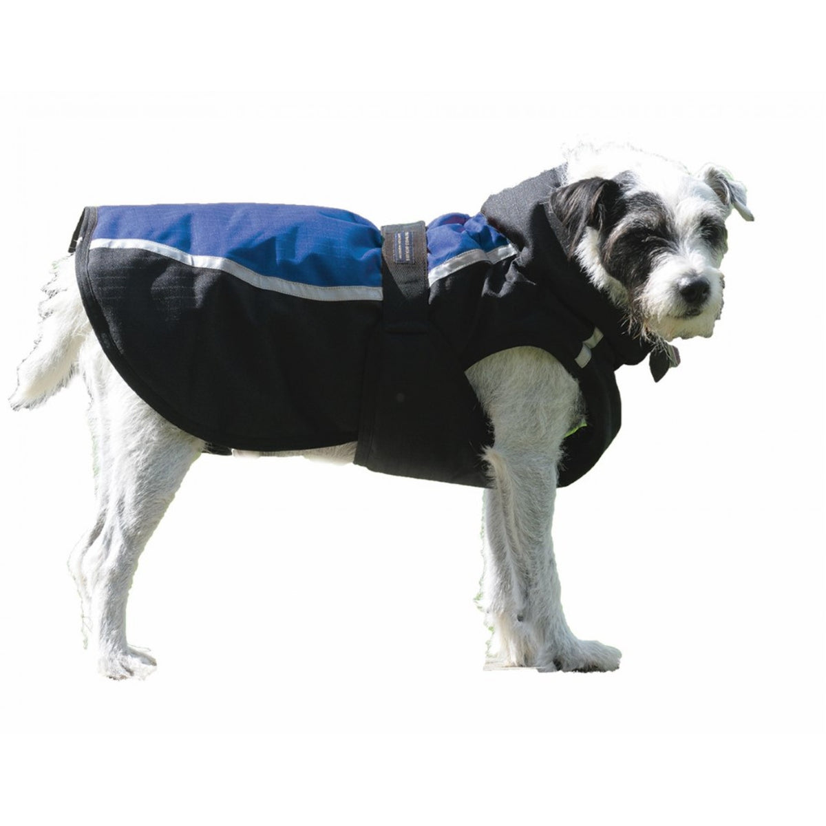 CENTURY TIGER DELUXE DOG COAT - BLUE/BLACK