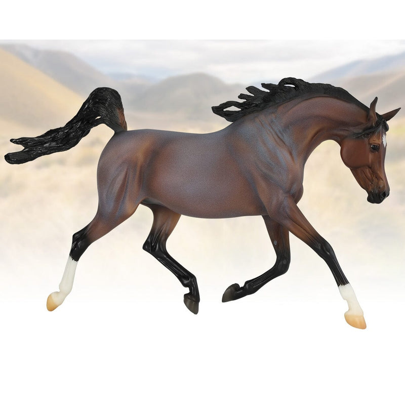 BREYER PICANTE