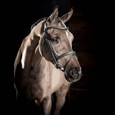 LEMIEUX ARIKA FLASH BRIDLE