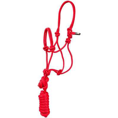 MUSTANG PONY/MINI ROPE HALTER WITH LEAD