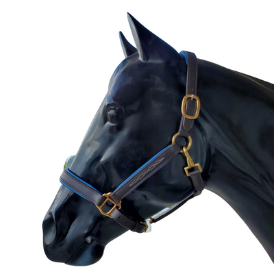 licol en cuir avec rembourrage coloré - cheval