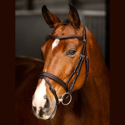 LEMIEUX ARIKA FLASH BRIDLE