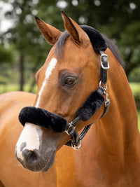 LEMIUEX SIMUWOOL HEADCOLLAR SET
