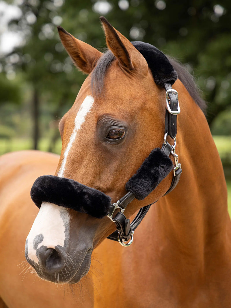 LEMIUEX SIMUWOOL HEADCOLLAR SET