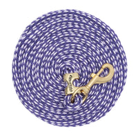 Corde de longe en cuir et polyester Weaver de 3 m avec mousqueton en laiton massif - Arc-en-ciel