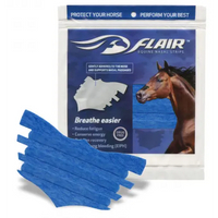 FLAIR NASAL STRIPS - SINGLES