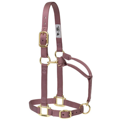 Licol ajustable en nylon Weaver - Poulain sevré/Poney 