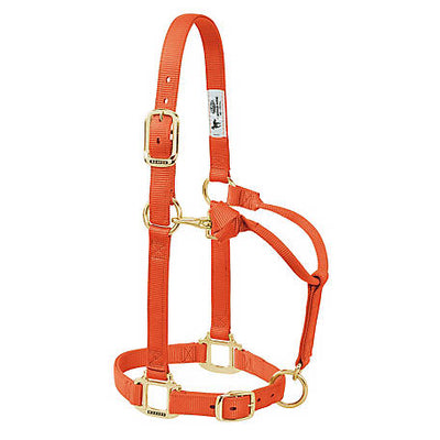 Licol ajustable en nylon Weaver - Poulain sevré/Poney 