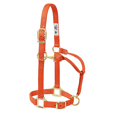 WEAVER ADJUSTABLE NYLON HALTER - WEANLING/PONY