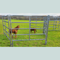 BORDER TRAVEL PANEL 6' LONG