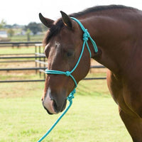 Equisential Rope Halter