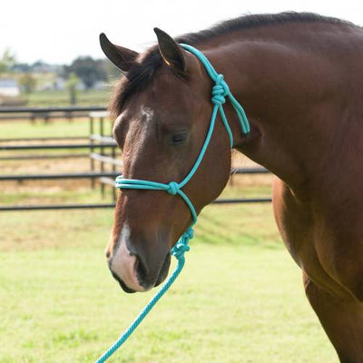 Equisential Rope Halter