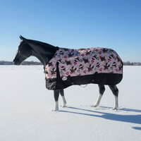 *ÉDITION LIMITÉE* MOO COW BLACK BOTTOM 1200D - 200G COL DÉTACHABLE