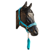 NYLON HALTER WITH FLEECE NOSE AND LEAD