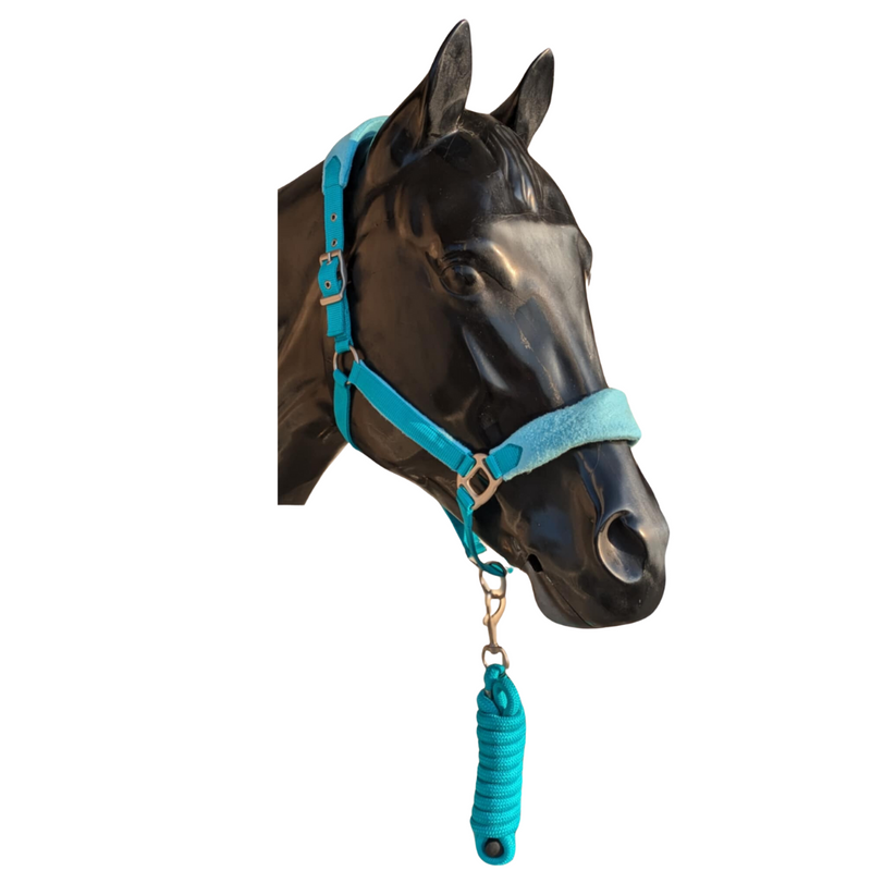 NYLON HALTER WITH FLEECE NOSE AND LEAD