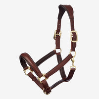 LEMIEUX ANATOMIC LEATHER HALTER