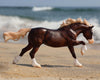 BREYER SURFER'S RIPTIDE - CHINCOTEAGUE PONY