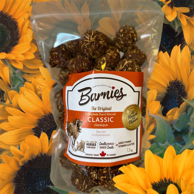 Barnies Treats Small (15)