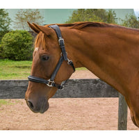 HDR STRESS FREE HALTER WITH FANCY STITCHING