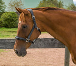 HDR STRESS FREE HALTER WITH FANCY STITCHING