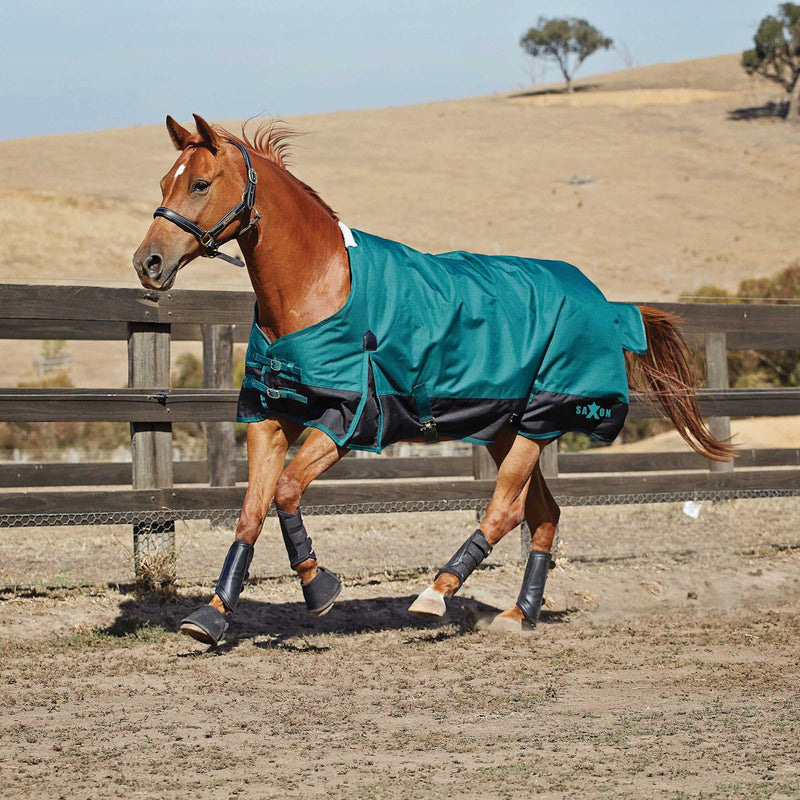 WeatherBeeta Plus Dynamic II 220g High Neck Rug - Hunter Green WeatherBeeta Plus Dynamic II 220g High Neck Rug - Hunter Green