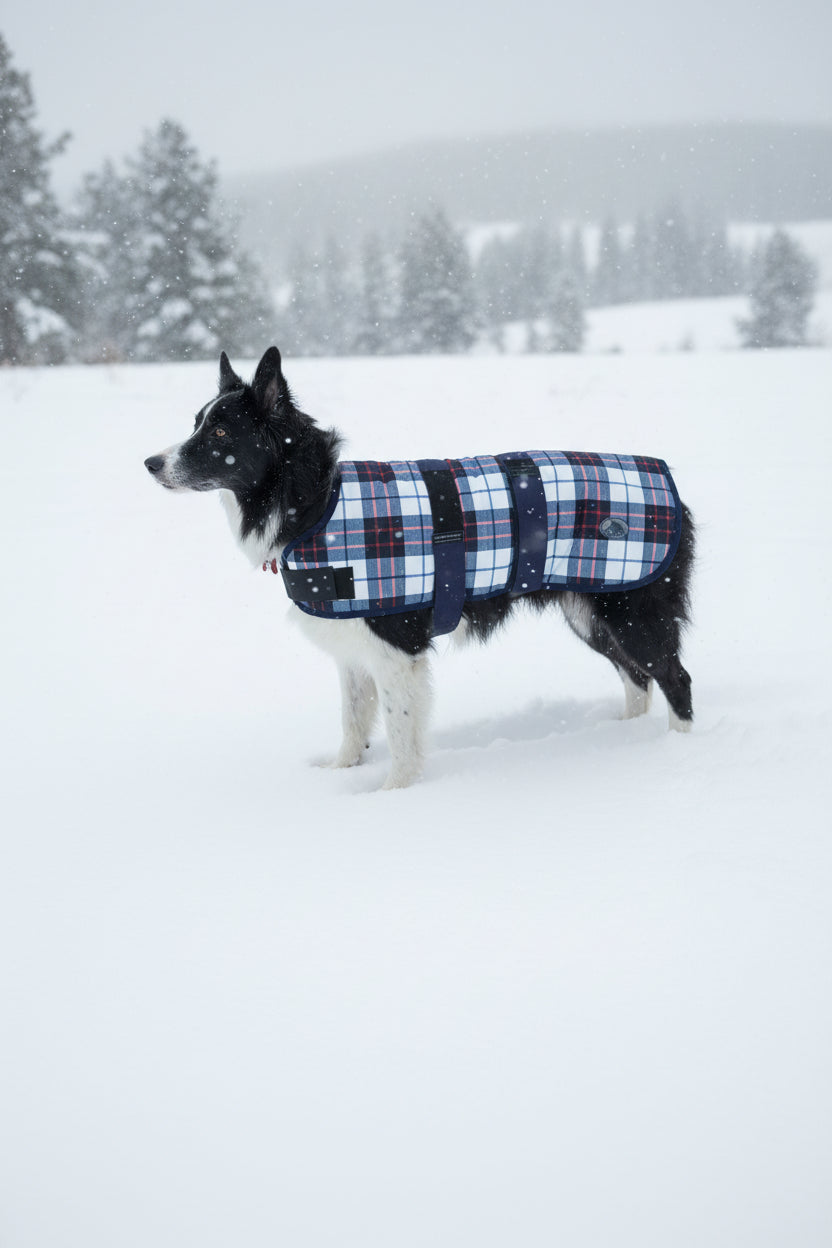 CENTURY TIGER DOG BLANKET - NAVY/RED