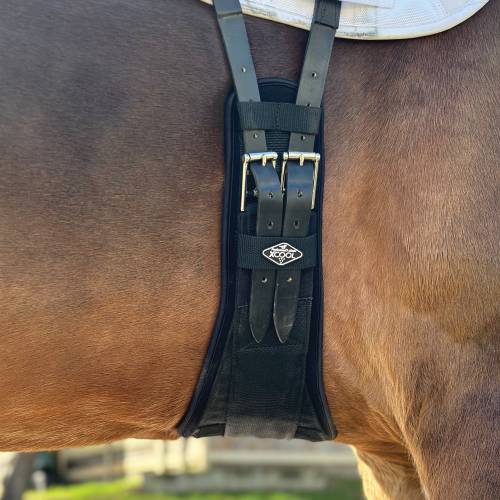 PROFESSIONAL'S CHOICE 2XCOOL DRESSAGE GIRTH – Bridle Path Tack Shop