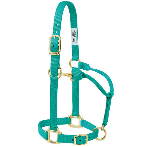 WEAVER ADJUSTABLE NYLON HALTER - ARABIAN/COB