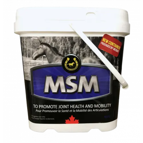 GOLDEN HORSESHOE MSM - 5LB
