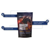 EQUINE CHOICE DRAGON PASTE CALMING SUPPLEMENT