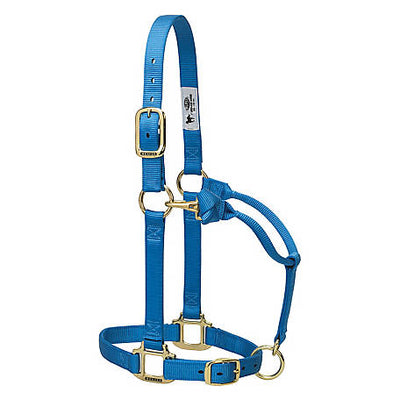 Licol ajustable en nylon Weaver - Cheval de taille moyenne